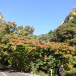 DSC04472